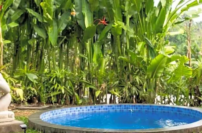 Kusfarm Bali By Ahm Selemadeg (Bali)